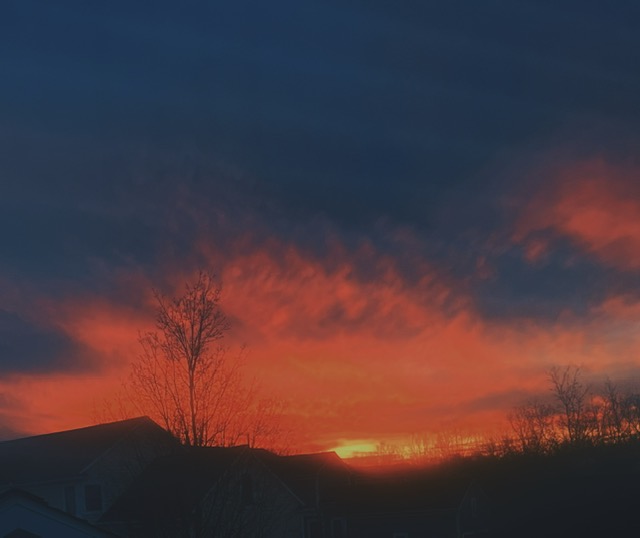 Bright reddish-orange sunset over the dark roof tops and tall trees.